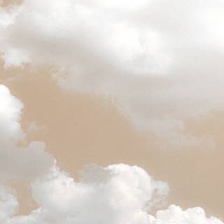 Cream iPhone wallpaper