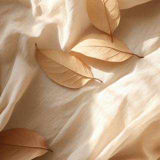 Cream iPhone wallpaper