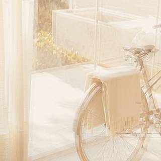 Cream iPhone wallpaper