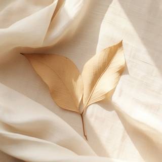 Cream iPhone wallpaper