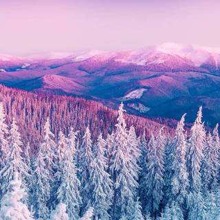 Purple aesthetic winter wallpaper