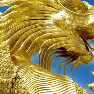 Chinese gold dragon wallpaper
