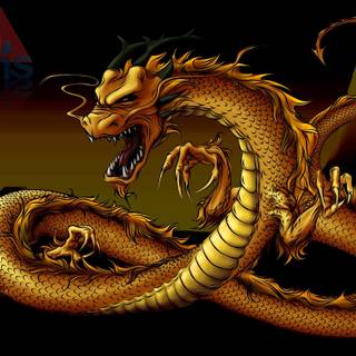 Chinese gold dragon wallpaper