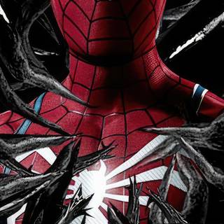 The Amazing Spider-Man 2 iPhone wallpaper