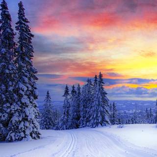 Norway iPhone wallpaper