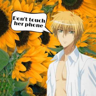 Maid Sama phone wallpaper