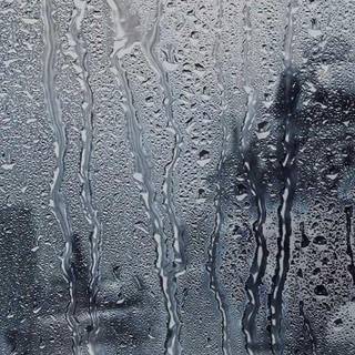 Rainy phone wallpaper