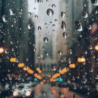 Rainy phone wallpaper