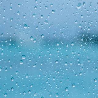 Rainy phone wallpaper