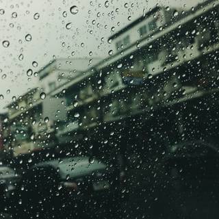 Rainy phone wallpaper