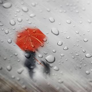 Rainy phone wallpaper