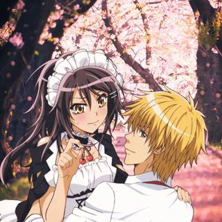 Maid Sama phone wallpaper