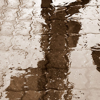 Rainy phone wallpaper