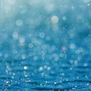 Rainy phone wallpaper