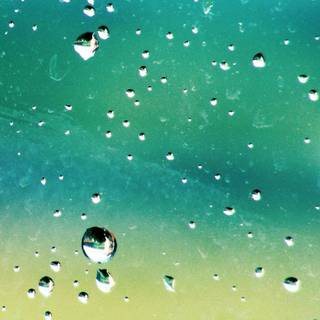 Rainy phone wallpaper