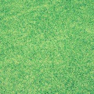 Grass phone wallpaper