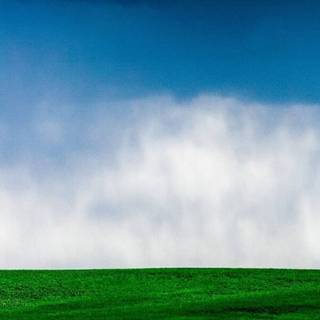 Grass phone wallpaper