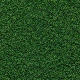 Grass phone wallpaper