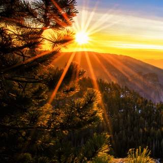 Phone sunrise wallpaper