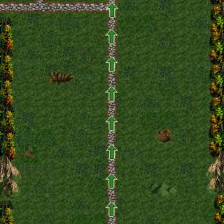 Grass phone wallpaper