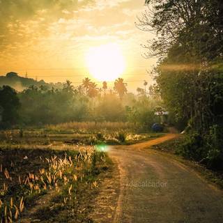 Phone sunrise wallpaper