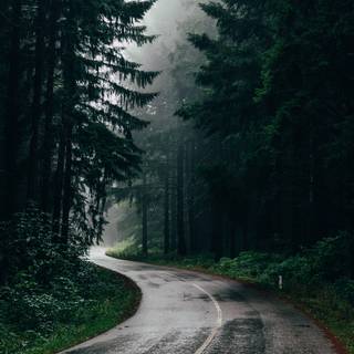 Rainy phone wallpaper