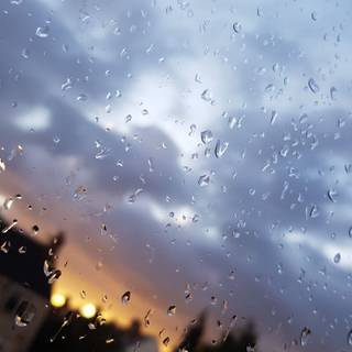 Rainy phone wallpaper