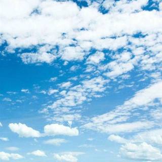 Grass phone wallpaper