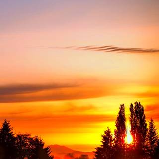 Phone sunrise wallpaper