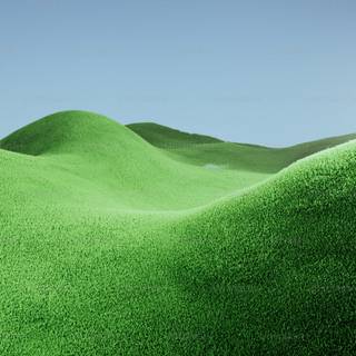 Grass phone wallpaper