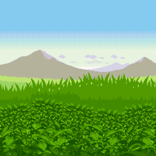 Grass phone wallpaper