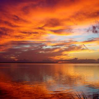 Phone sunrise wallpaper