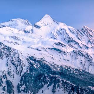 Ski iPhone wallpaper