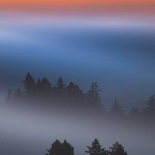 Phone sunrise wallpaper