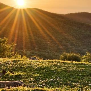 Phone sunrise wallpaper