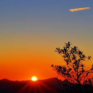 Phone sunrise wallpaper