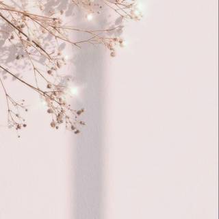 iPhone elegant wallpaper