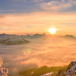 Phone sunrise wallpaper