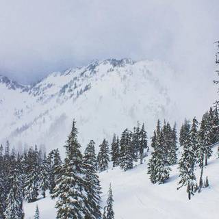 Ski iPhone wallpaper