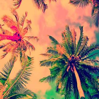 iPhone elegant wallpaper