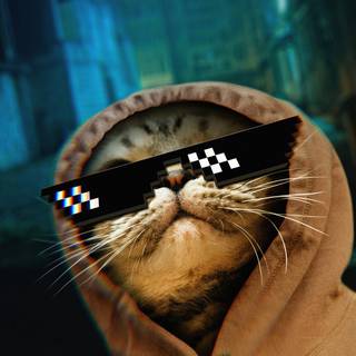 Thug Life iPhone wallpaper