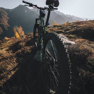 Mountain bike phone wallpaper