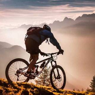 Mountain bike phone wallpaper