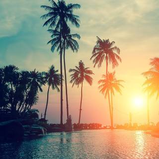 Beach sunset phone wallpaper