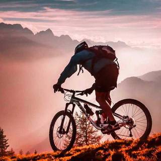 Mountain bike phone wallpaper