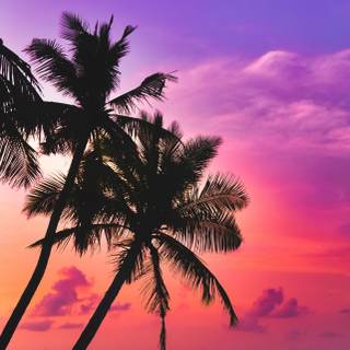 Beach sunset phone wallpaper