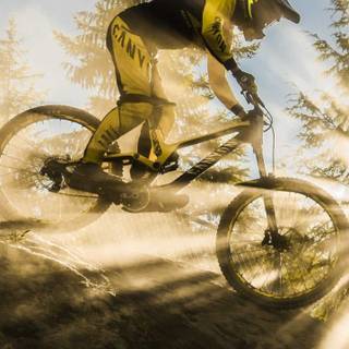 Mountain bike phone wallpaper