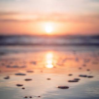Beach sunset phone wallpaper