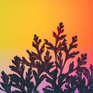 iPhone RGB wallpaper