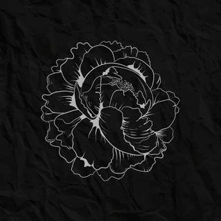 Phone drawing wallpaper